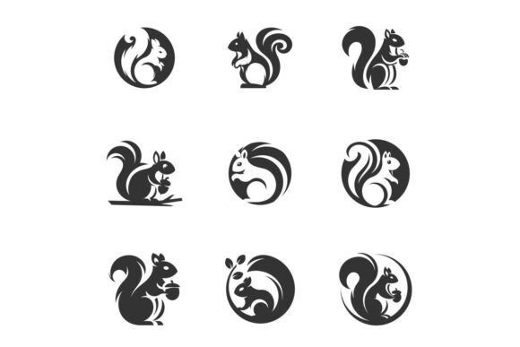 Creative Squirrel Branding Design Ideas